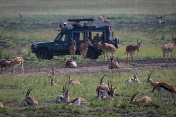 Hotel Elewana Sand River Masai Mara Maasai Mara Zewnętrze zdjęcie